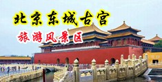 黄片18P中国北京-东城古宫旅游风景区